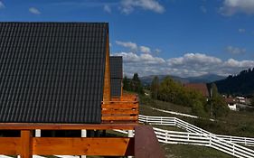Cozy A-Frame Cabins In Bucovina